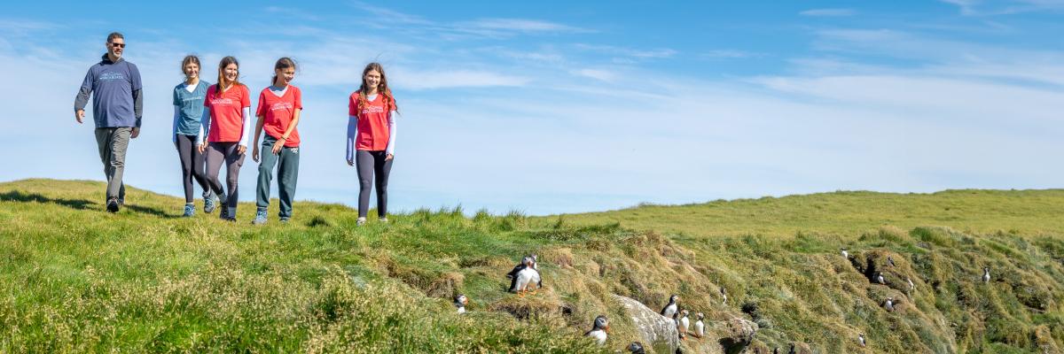 Meilleures offres et promotions - background banner