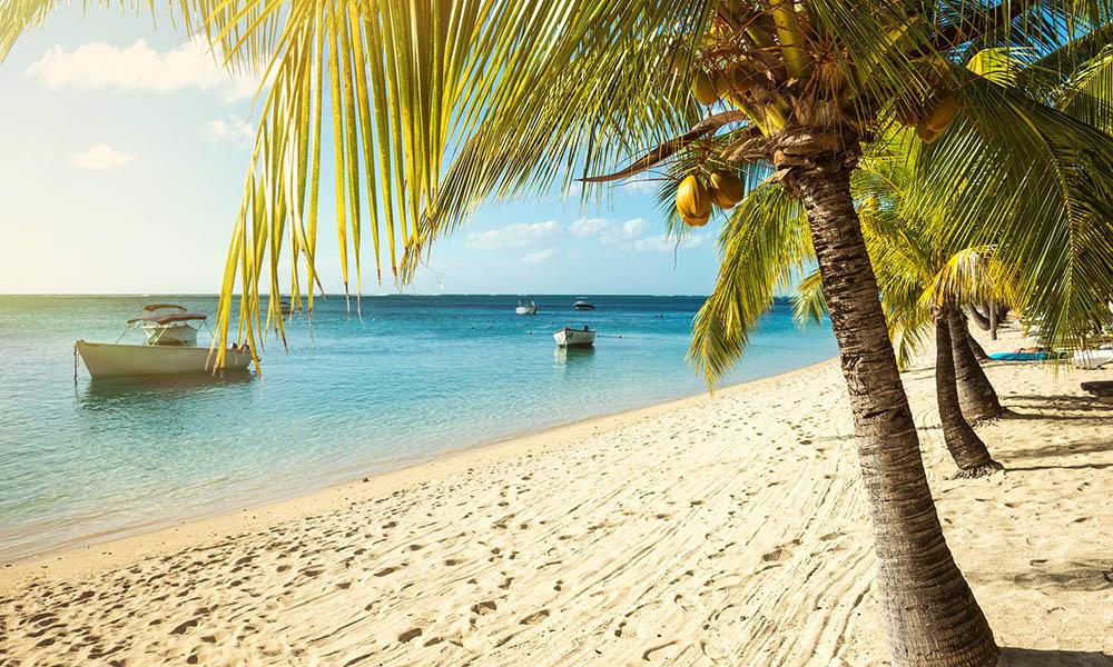 Best Offers & Deals - background banner