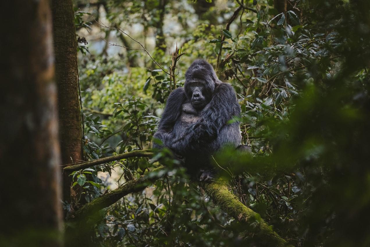 Best Offers & Deals - background banner